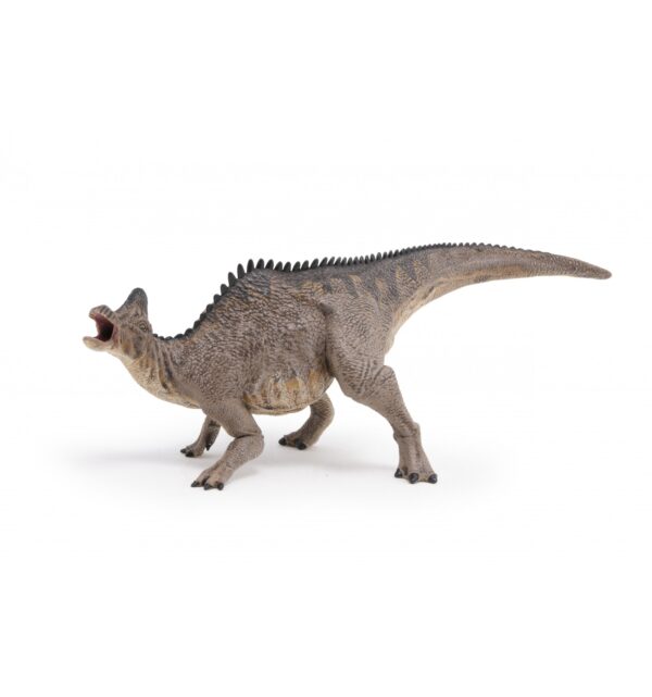 CORYTHOSAURUS PAPO