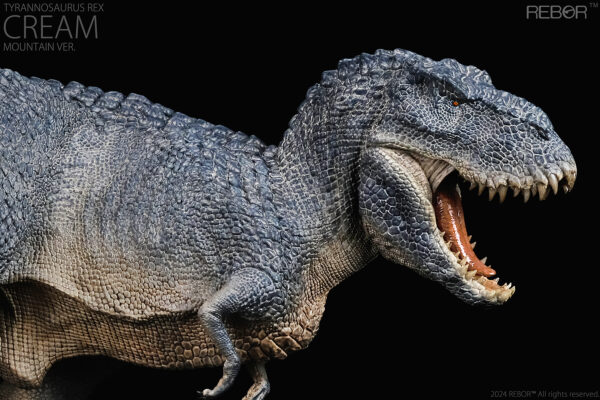 TYRANOSAURUS REX CREAM "MOUNTAIN" REBOR - Image 8