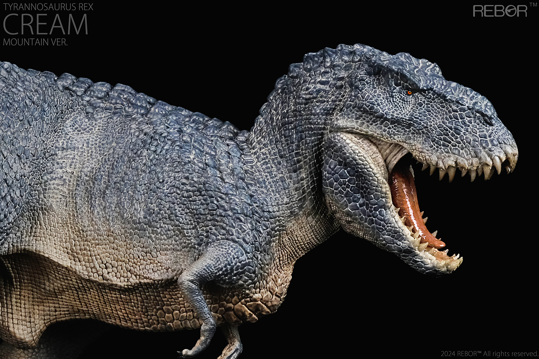 TYRANOSAURUS REX CREAM “MOUNTAIN” REBOR