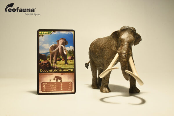 MAMUT COLUMBI ESCALA 1/35 EOFAUNA