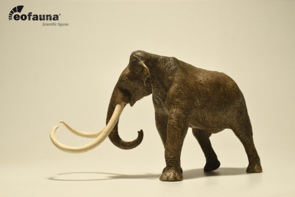 MAMUT COLUMBI ESCALA 1/35 EOFAUNA - Image 2