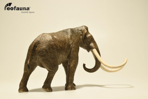 MAMUT COLUMBI ESCALA 1/35 EOFAUNA - Image 3