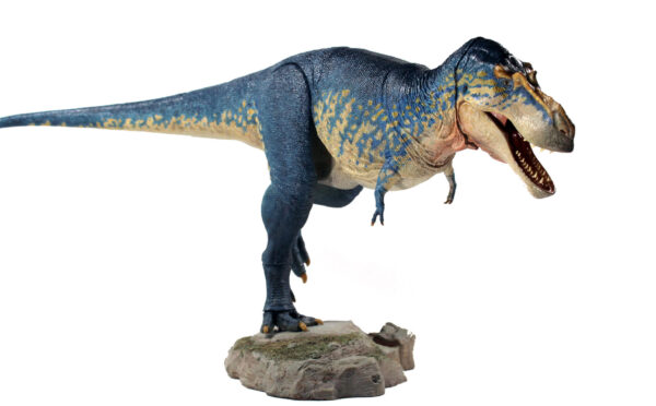 Gorgosaurus libratus escala 1/18 BEAST OF THE MESOZOIC BOM - Image 3