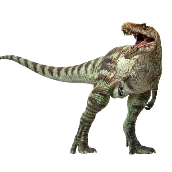 QUIANZHOSAURUS PNSO - Image 3