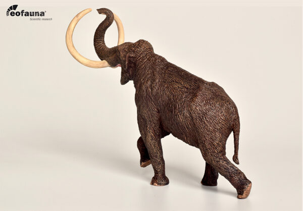 MAMUT DE LA ESTEPA 1/40 EOFAUNA - Image 3