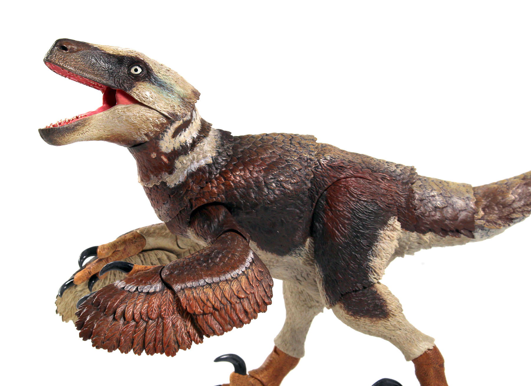Utahraptor ostrommaysi Escala 1/18 BEAST OF THE MESOZOIC BOM