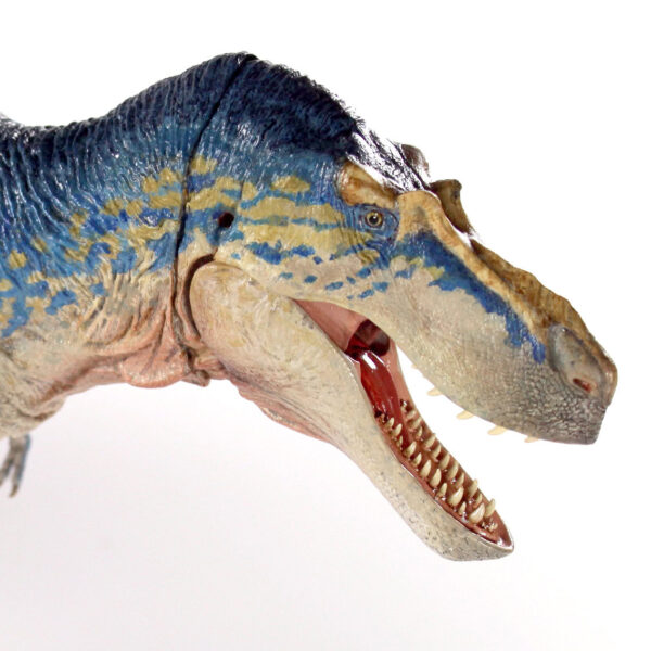 Gorgosaurus libratus escala 1/18 BEAST OF THE MESOZOIC BOM