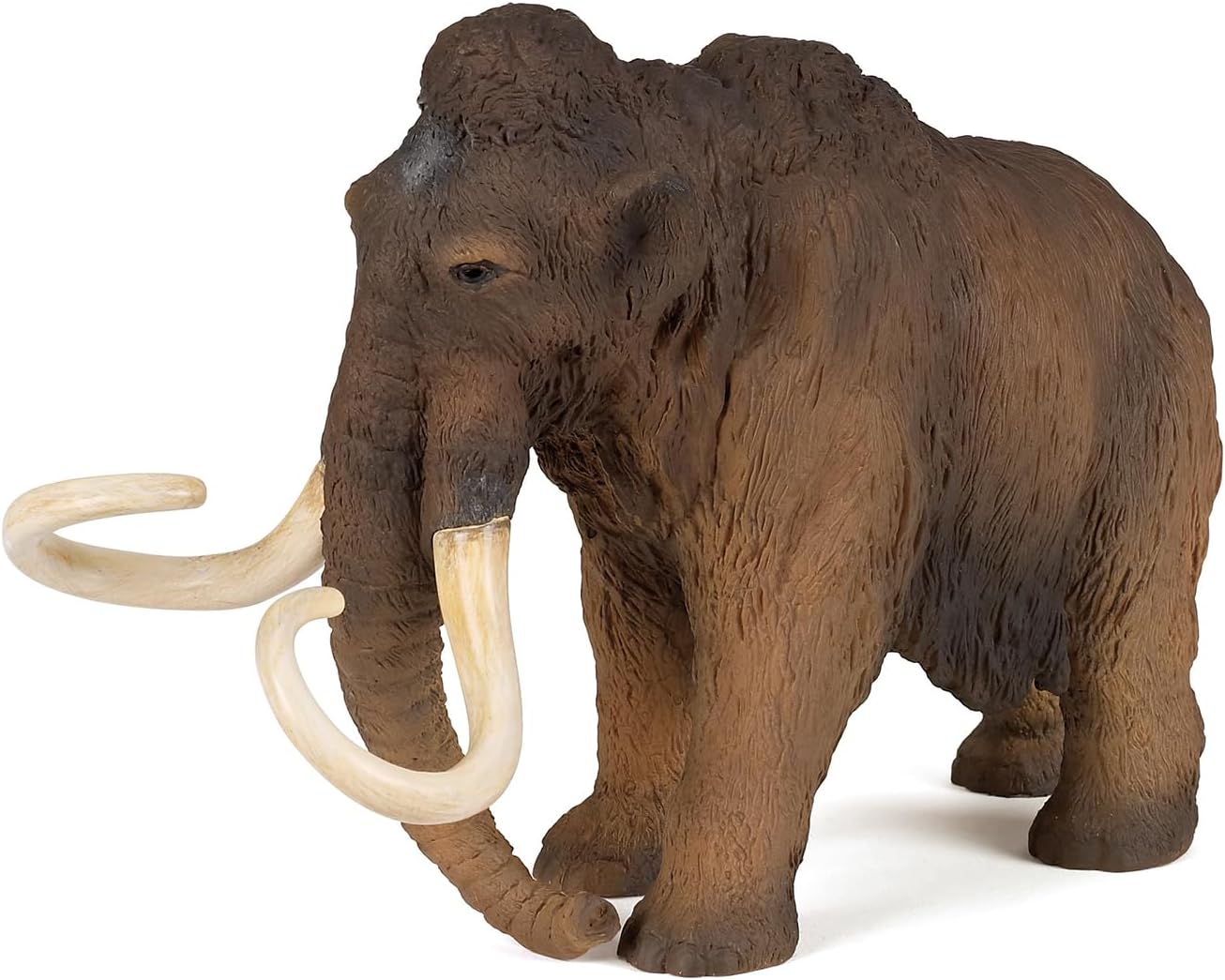 MAMUT PAPO