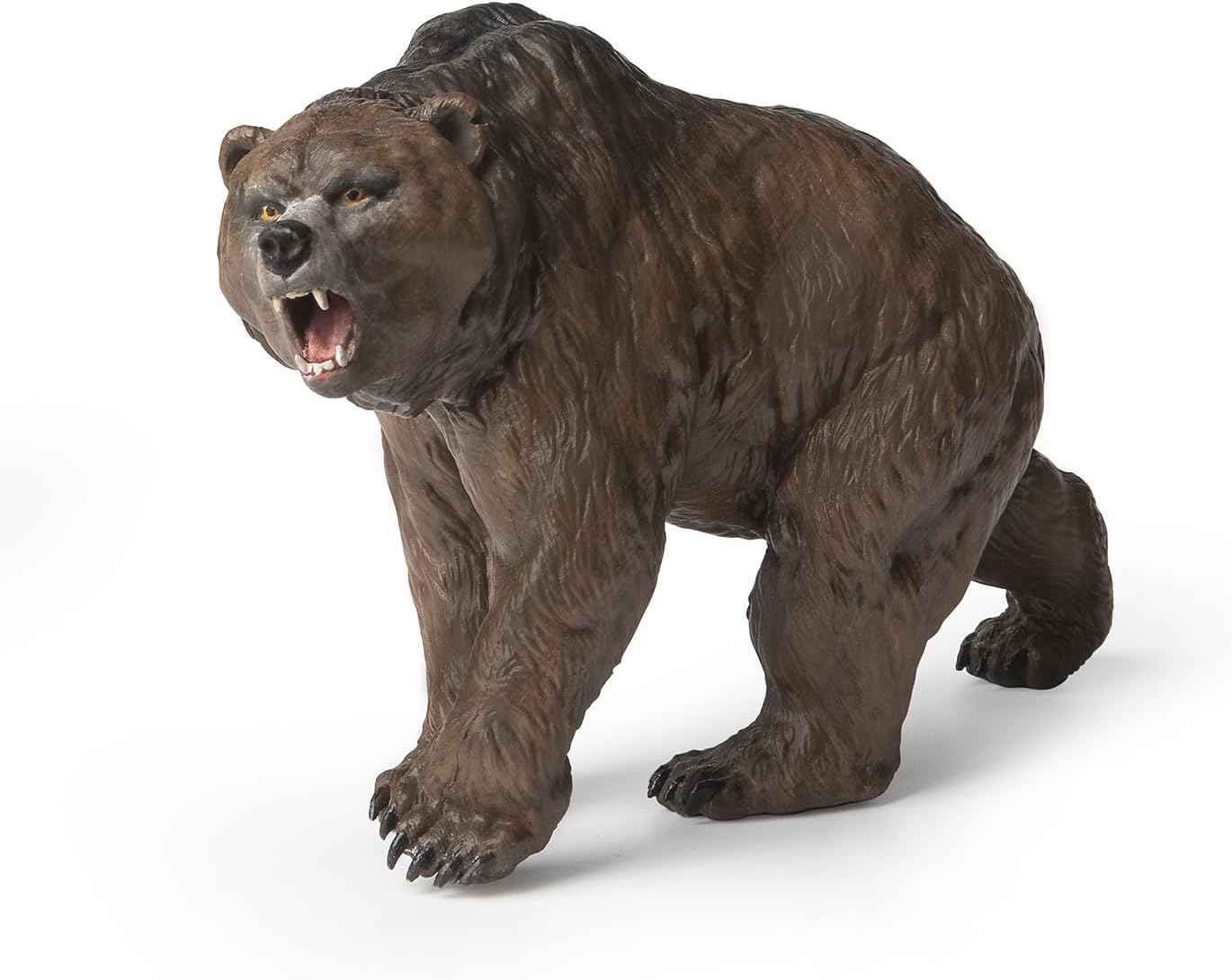 OSO CAVERNARIO CARA CORTA PAPO