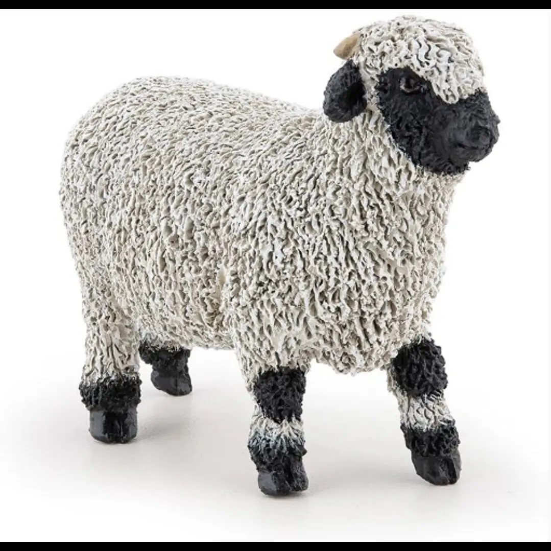 Oveja Negra de valais 51194 PAPO