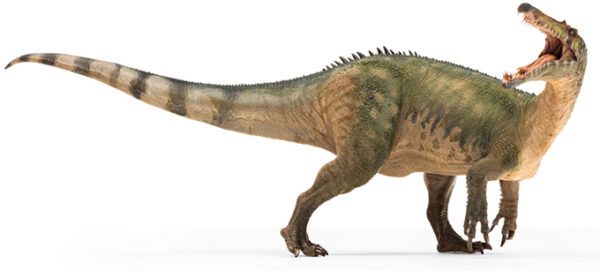 SUCHOMIMUS PAPO