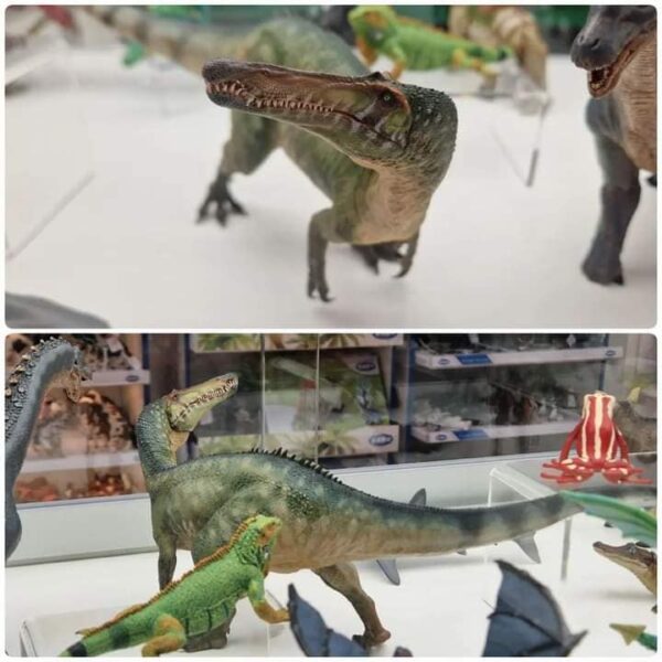 SUCHOMIMUS PAPO - Image 4