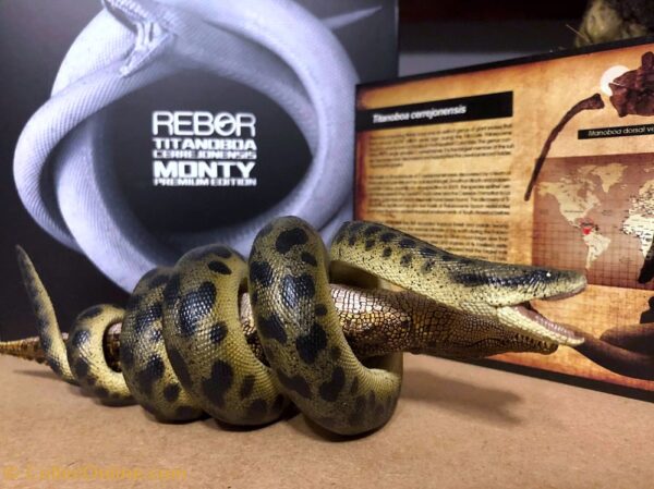 Titanoboa Cerrejonensis Monty REBOR 1:11 - Image 4