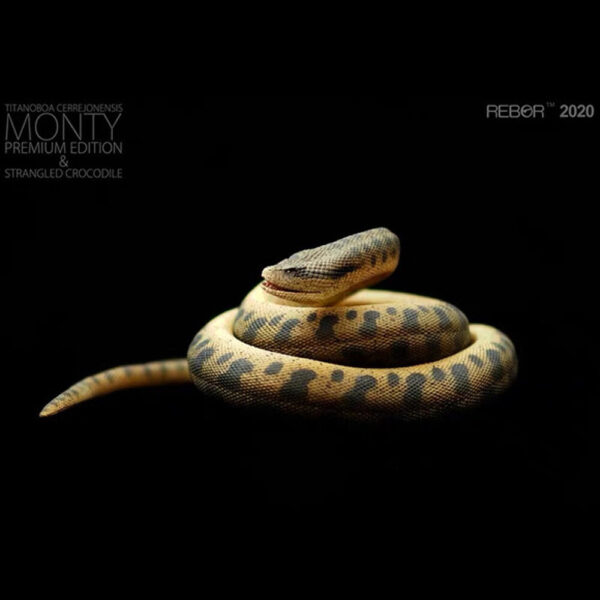 Titanoboa Cerrejonensis Monty REBOR 1:11 - Image 3