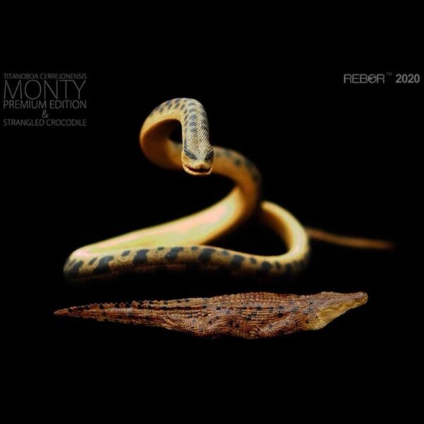 Titanoboa Cerrejonensis Monty REBOR 1:11