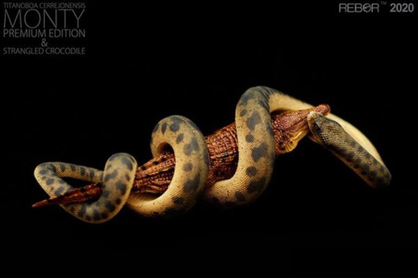 Titanoboa Cerrejonensis Monty REBOR 1:11 - Image 2