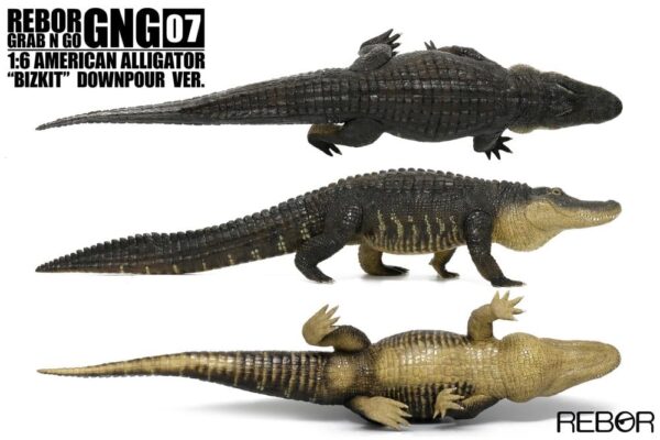 American Alligator Bizkit versión Downpour  PREVENTA - Image 2
