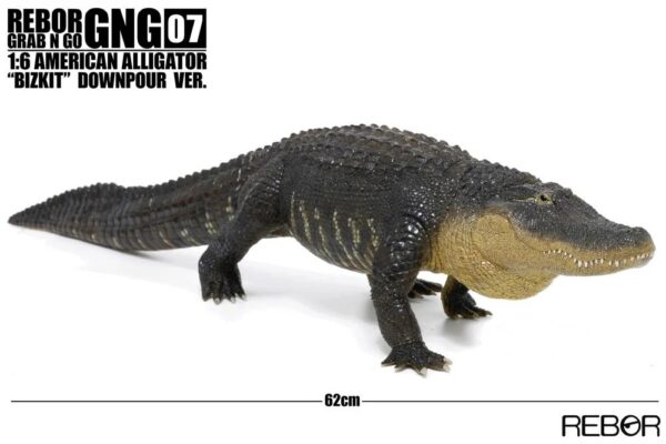 American Alligator Bizkit versión Downpour  PREVENTA - Image 3