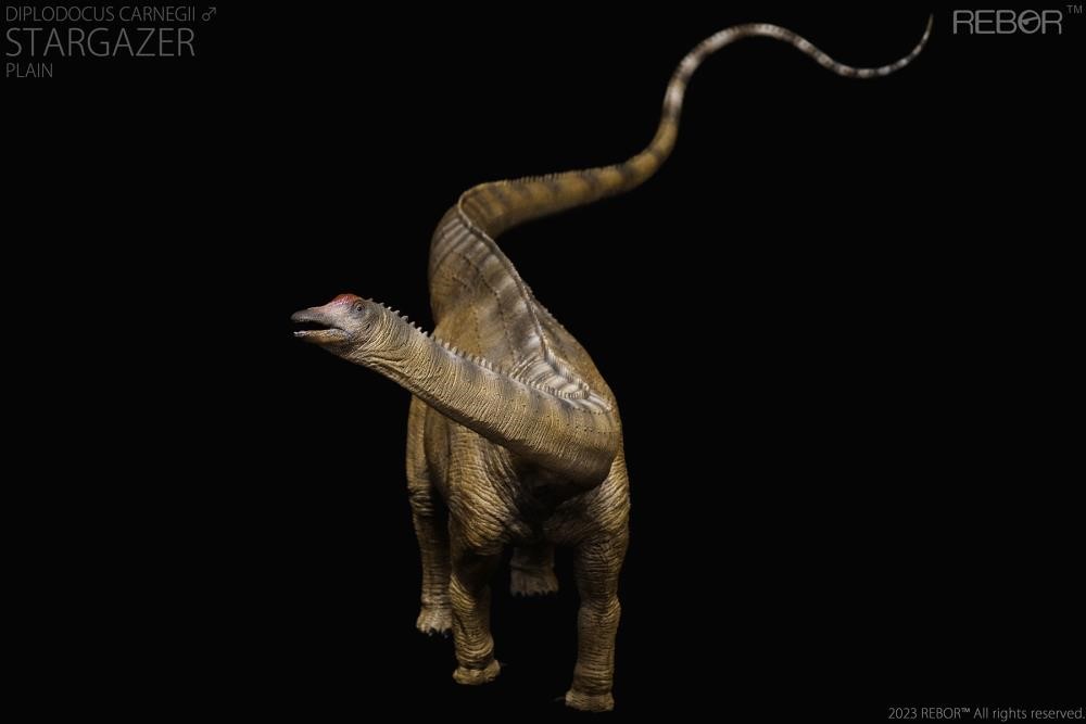 Diplodocus Macho Carnegie Stargazer PREVENTA