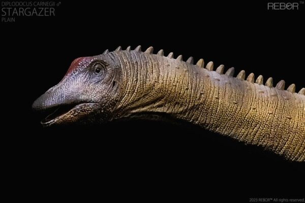 Diplodocus Macho Carnegie Stargazer PREVENTA - Image 5