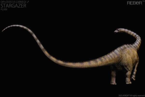 Diplodocus Macho Carnegie Stargazer PREVENTA - Image 6