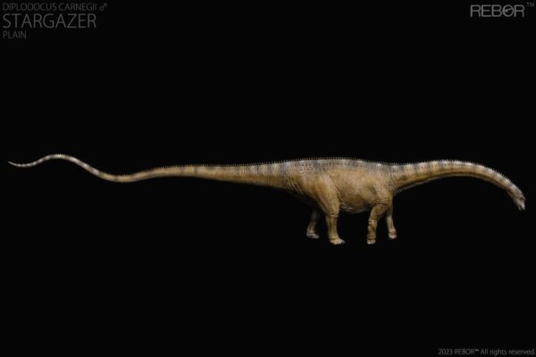 Diplodocus Macho Carnegie Stargazer PREVENTA - Image 3
