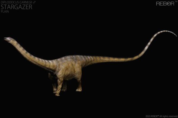 Diplodocus Macho Carnegie Stargazer PREVENTA - Image 4