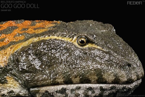 Beelzebufo Ampinga Goo Goo Doll Version Swamp PREVENTA - Image 2