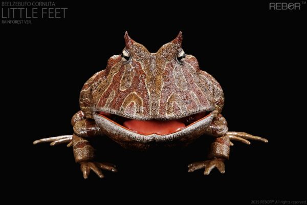 Beelzebufo Cornuta Little Feet version Rainforest PREVENTA - Image 4
