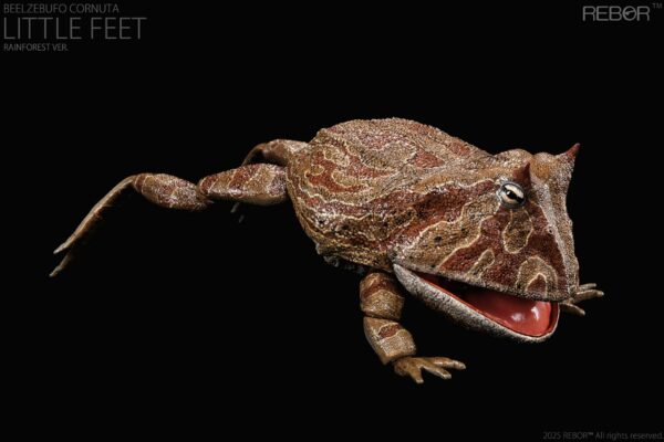 Beelzebufo Cornuta Little Feet version Rainforest PREVENTA - Image 5