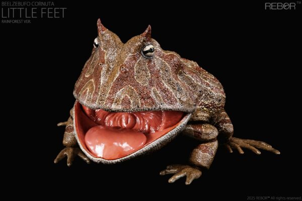 Beelzebufo Cornuta Little Feet version Rainforest PREVENTA - Image 6