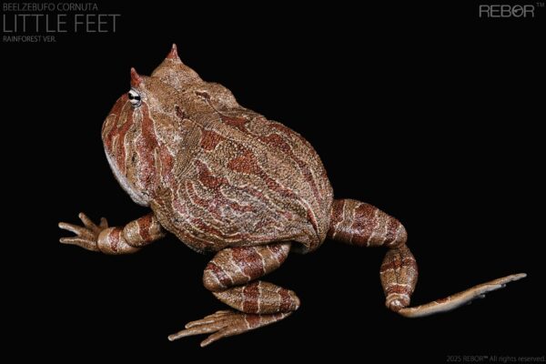 Beelzebufo Cornuta Little Feet version Rainforest PREVENTA - Image 2