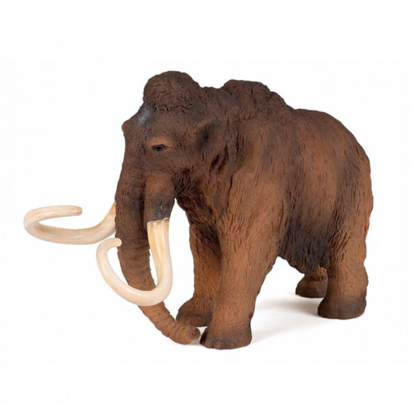 Familia Mamut PAPO - Image 2