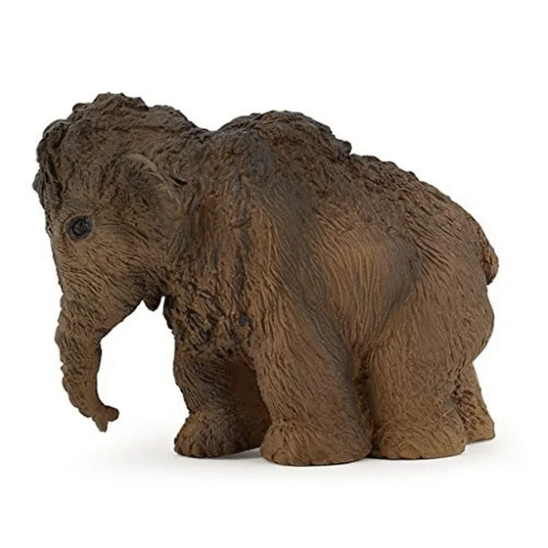 Familia Mamut PAPO - Image 4