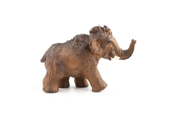 Familia Mamut PAPO - Image 3