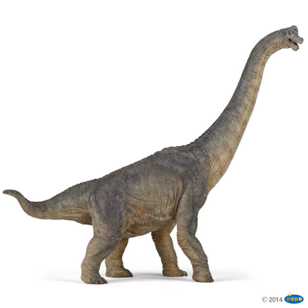 Braquiosaurio Primera edición PAPO