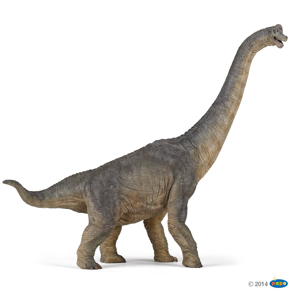 Braquiosaurio Primera edición PAPO