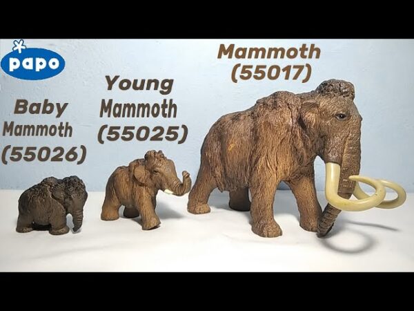 Familia Mamut PAPO