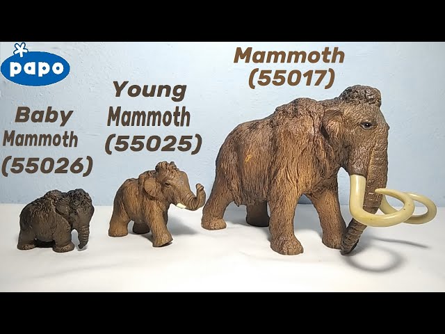 Familia Mamut PAPO