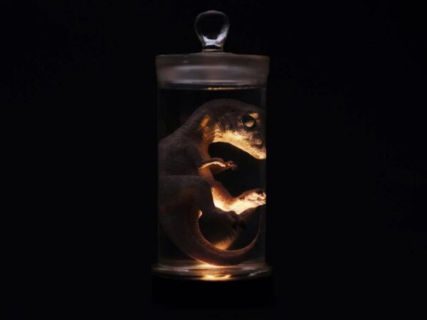 Lampara Tiranosaurio Rex Feto REBOR - Image 3